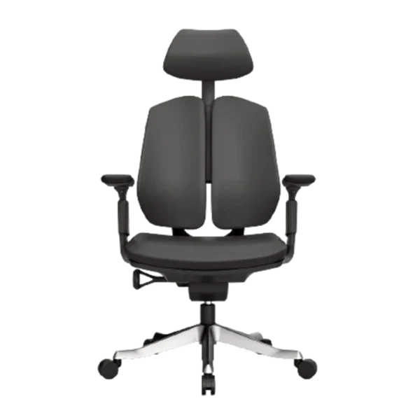 AERON PU